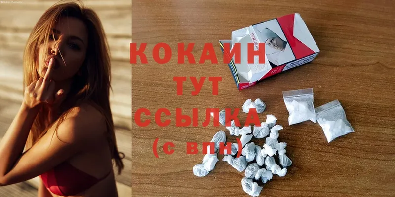 Кокаин Fish Scale  нарко площадка какой сайт  Железногорск 