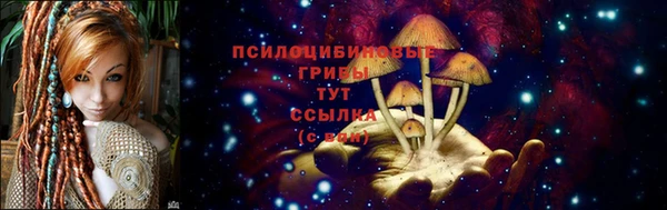 2c-b Семилуки