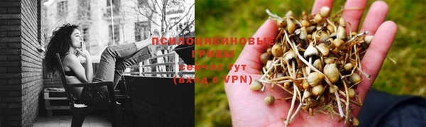 шишки Семикаракорск