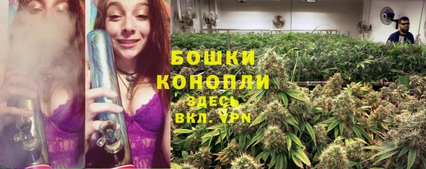 крисы Майский