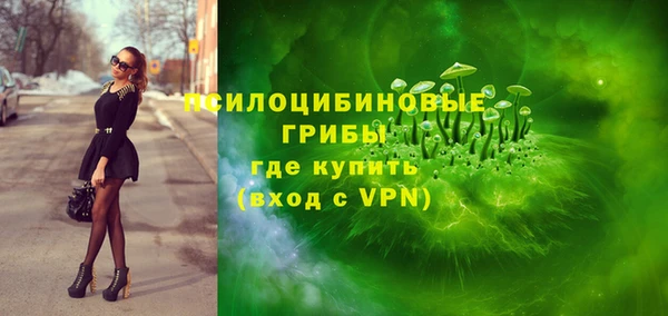 шишки Семикаракорск
