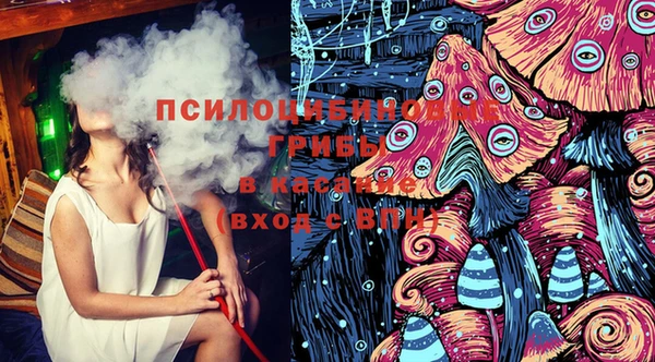 шишки Семикаракорск