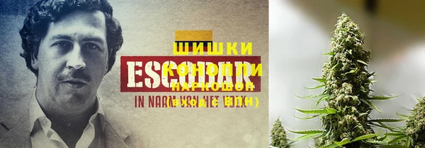 спиды Семёнов