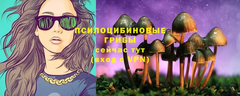 Галлюциногенные грибы ЛСД Железногорск