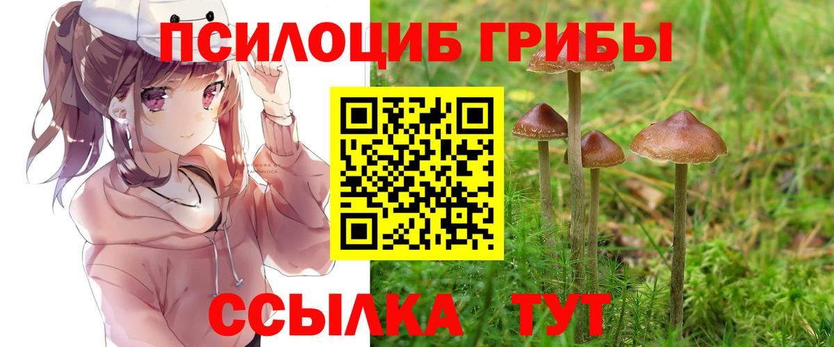 Псилоцибиновые грибы мицелий  Вход с VPN  Псилоцибиновые грибы Magic Shrooms  купить  сайты  Железногорск 